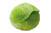 cabbage