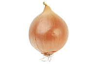 onion