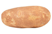 potato
