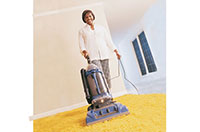 vacuum the carpet