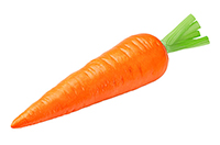 carrot