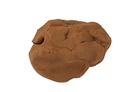 clay