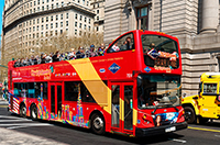 go on a bus tour