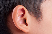ear