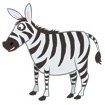 zebra