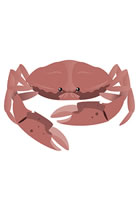 crab