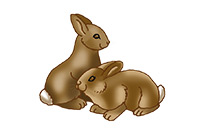 rabbits