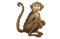a monkey