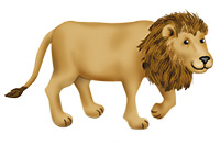 a lion