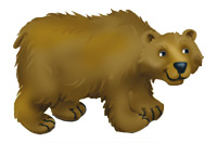 a bear