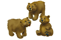bears
