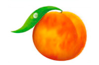 a peach