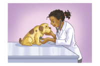 a veterinarian