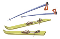 skis