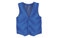 a vest