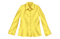 a blouse