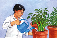 watering the plants