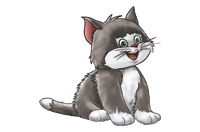 kitten
