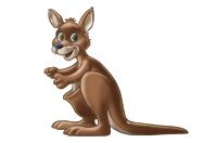kangaroo