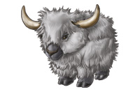 yak