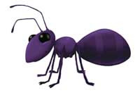ant