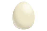 egg