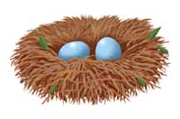 nest