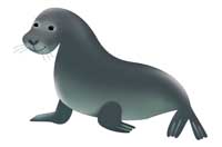 seal
