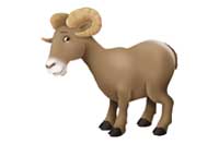 ram