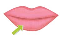 lip