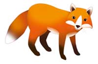fox