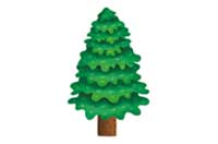 pine