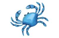 crab