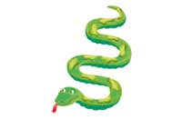 snake
