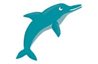 dolphin