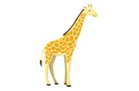 giraffe